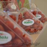 ΑΣ-ΚΑΜΙΡΟΣ-ΚΕΝΤΡΙ-ΙΕΡΑΠΕΤΡΑ-ΟΠ-ΚΡΗΤΙΚΟ-ΠΕΡΒΟΛΙ