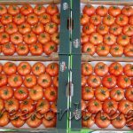 ΑΣ-ΚΑΜΙΡΟΣ-ΚΕΝΤΡΙ-ΙΕΡΑΠΕΤΡΑ-ΟΠ-ΚΡΗΤΙΚΟ-ΠΕΡΒΟΛΙ