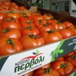 ΑΣ-ΚΑΜΙΡΟΣ-ΚΕΝΤΡΙ-ΙΕΡΑΠΕΤΡΑ-ΟΠ-ΚΡΗΤΙΚΟ-ΠΕΡΒΟΛΙ