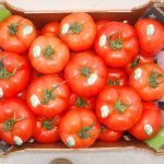 ΑΣ-ΚΑΜΙΡΟΣ-ΚΕΝΤΡΙ-ΙΕΡΑΠΕΤΡΑ-ΟΠ-ΚΡΗΤΙΚΟ-ΠΕΡΒΟΛΙ