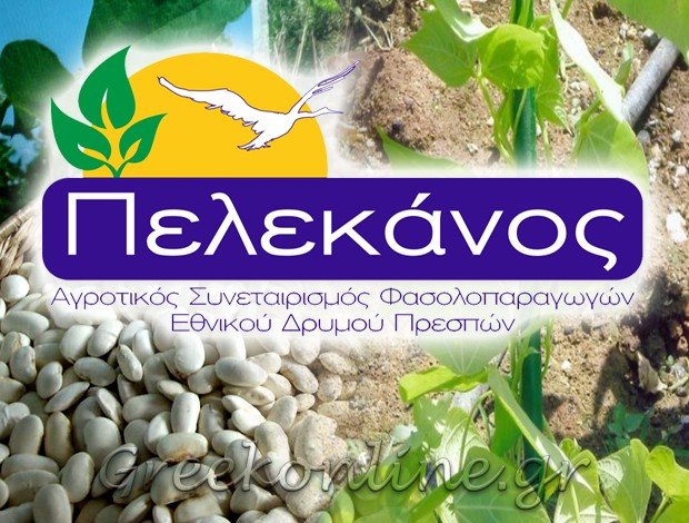 Α.Σ. ΦΑΣΟΛΟΠΑΡΑΓΩΓΩΝ ΕΘΝΙΚΟΥ ΔΡΥΜΟΥ ΠΡΕΣΠΩΝ Α.Σ. “ΠΕΛΕΚΑΝΟΣ”