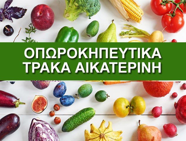ΟΠΩΡΟΚΗΠΕΥΤΙΚΑ ΜΕΝΕΜΕΝΗ ΘΕΣΣΑΛΟΝΙΚΗΣ ΤΡΑΚΑ ΑΙΚΑΤΕΡΙΝΗ