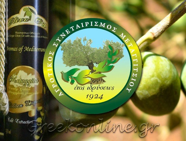ΑΓΡΟΤΙΚΟΣ ΣΥΝΕΤΑΙΡΙΣΜΟΣ ΜΕΤΑΓΓΙΤΣΙΟΥ ΧΑΛΚΙΔΙΚΗΣ