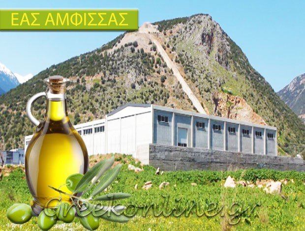 ΕΛΑΙΟΥΡΓΙΚΟΣ ΑΓΡΟΤΙΚΟΣ ΣΥΝΕΤΑΙΡΙΣΜΟΣ ΑΜΦΙΣΣΑΣ