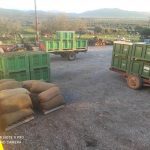 Elaiourgikos-Synetairismos-Metamorfosis-Molaoi-(7)