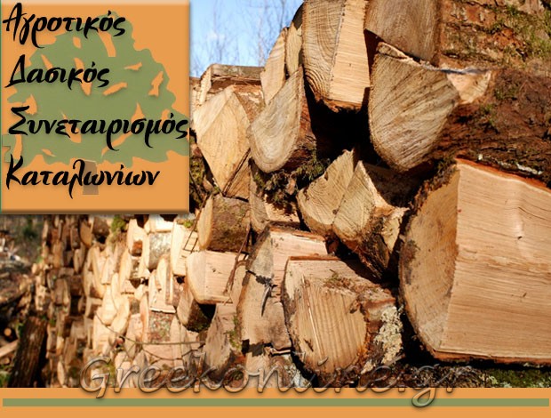 ΔΑΣΙΚΟΣ ΣΥΝΕΤΑΙΡΙΣΜΟΣ ΚΑΤΑΛΩΝΙΩΝ ΝΕΑΣ ΧΡΑΝΗΣ ΠΙΕΡΙΑΣ