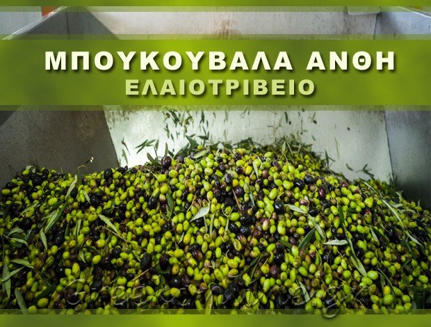 ΕΛΑΙΟΤΡΙΒΕΙΟ <BR> ΑΛΜΥΡΟΣ ΜΑΓΝΗΣΙΑΣ <BR>  ΜΠΟΥΚΟΥΒΑΛΑ ΑΝΘΗ
