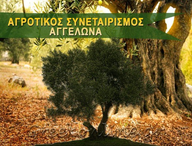 ΑΓΡΟΤΙΚΟΣ ΕΛΑΙΟΥΡΓΙΚΟΣ ΣΥΝΕΤΑΙΡΙΣΜΟΣ  ΑΓΓΕΛΩΝΑΣ ΛΑΚΩΝΙΑΣ
