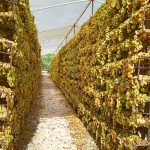 ΕΡΓΟΣΤΑΣΙΟ-ΣΟΥΛΤΑΝΙΝΑΣ-ΝΕΑ ΑΛΙΚΑΡΝΑΣΣΟΣ-ΗΡΑΚΛΕΙΟ-ΚΣΟΣ-ΑΕΣ-ΑΕ