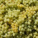 ΕΡΓΟΣΤΑΣΙΟ-ΣΟΥΛΤΑΝΙΝΑΣ-ΝΕΑ ΑΛΙΚΑΡΝΑΣΣΟΣ-ΗΡΑΚΛΕΙΟ-ΚΣΟΣ-ΑΕΣ-ΑΕ