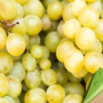 ΕΜΠΟΡΙΟ-ΦΡΟΥΤΩΝ-ΛΑΧΑΝΙΚΩΝ-ΡΕΝΤΗΣ-ΠΕΦΑΝΗΣ-ΑΕ