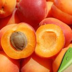 ΕΜΠΟΡΙΟ-ΦΡΟΥΤΩΝ-ΛΑΧΑΝΙΚΩΝ-ΡΕΝΤΗΣ-ΠΕΦΑΝΗΣ-ΑΕ