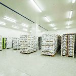 ΕΜΠΟΡΙΟ-ΦΡΟΥΤΩΝ-ΛΑΧΑΝΙΚΩΝ-ΡΕΝΤΗΣ-ΠΕΦΑΝΗΣ-ΑΕ