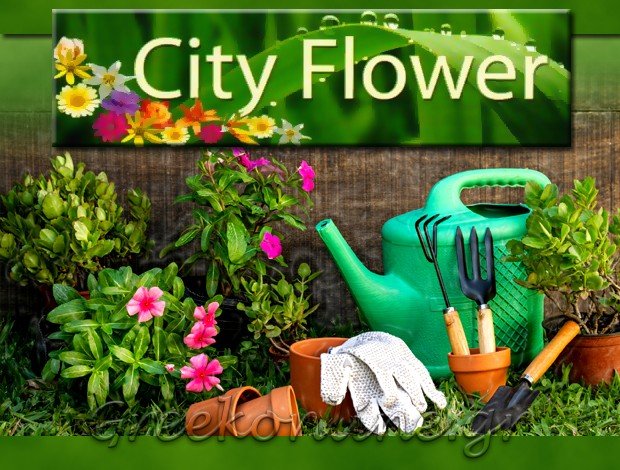 ΦΥΤΩΡΙΟ ΠΥΛΑΙΑ ΘΕΣΣΑΛΟΝΙΚΗΣ “CITY FLOWER” ΓΚΕΛΗΣ ΓΕΩΡΓΙΟΣ