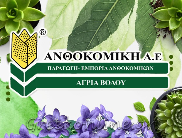 ΑΝΘΟΚΟΜΙΚΑ ΠΡΟΪΟΝΤΑ ΑΓΡΙΑ ΜΑΓΝΗΣΙΑΣ ΑΝΘΟΚΟΜΙΚΗ ΑΕ
