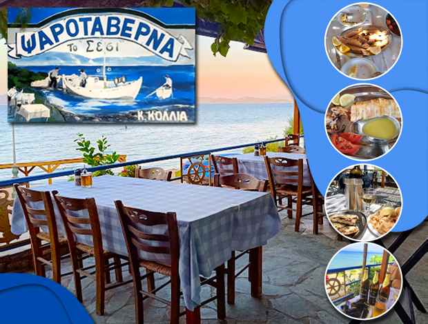 ΨΑΡΟΤΑΒΕΡΝΑ ΠΑΡΑΛΙΑ ΣΕΣΙ ΓΡΑΜΜΑΤΙΚΟ “ΣΕΣΙ” ΚΟΛΛΙΑΣ ΚΩΝΣΤΑΝΤΙΝΟΣ