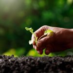 ΓΕΩΡΓΙΚΑ-ΕΦΟΔΙΑ-ΜΟΥΡΙΕΣ-ΚΙΛΚΙΣ-ΓΕΩΡΓΑΝΤΑΣ