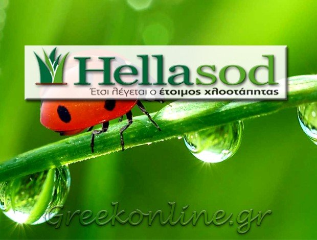 ΧΛΟΟΤΑΠΗΤΑΣ ΣΙΝΔΟΣ ΘΕΣΣΑΛΟΝΙΚΗΣ <br> “HELLASOD” – HELLASOD Α.Ε