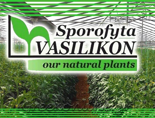 ΦΥΤΩΡΙΟ ΣΠΟΡΟΦΥΤΩΝ ΑΓΙΑ ΠΑΡΑΣΚΕΥΗ ΘΕΣΣΑΛΟΝΙΚΗΣ “ΣΠΟΡΟΦΥΤΑ ΒΑΣΙΛΙΚΩΝ”