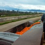 ΑΓΡΟΤΙΚΟΣ-ΣΥΝΕΤΑΙΡΙΣΜΟΣ-ΣΚΑΦΙΔΑΚΙΟΥ-ΑΡΓΟΛΙΔΑΣ