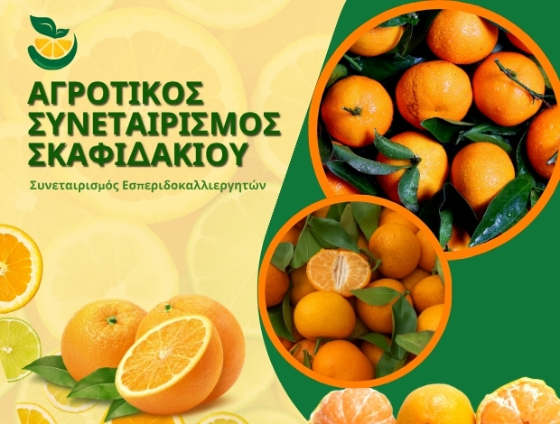 ΑΓΡΟΤΙΚΟΣ ΣΥΝΕΤΑΙΡΙΣΜΟΣ ΣΚΑΦΙΔΑΚΙΟΥ ΑΡΓΟΛΙΔΑΣ