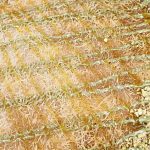 ΕΡΓΑΣΤΗΡΙΟ-ΖΑΧΑΡΟΠΛΑΣΤΙΚΗΣ-ΚΩΣ-MOUS-PATISSERIE-ΤΖΗΝΟΓΛΟΥ