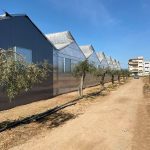 ΜΕΤΑΛΛΙΚΑ-ΘΕΡΜΟΚΗΠΙΑ-ΚΥΠΑΡΙΣΣΙΑ-ΔΙΑΜΑΝΤΟΠΟΥΛΟΣ