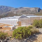 ΜΕΤΑΛΛΙΚΑ-ΘΕΡΜΟΚΗΠΙΑ-ΚΥΠΑΡΙΣΣΙΑ-ΔΙΑΜΑΝΤΟΠΟΥΛΟΣ