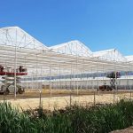 ΜΕΤΑΛΛΙΚΑ-ΘΕΡΜΟΚΗΠΙΑ-ΚΥΠΑΡΙΣΣΙΑ-ΔΙΑΜΑΝΤΟΠΟΥΛΟΣ