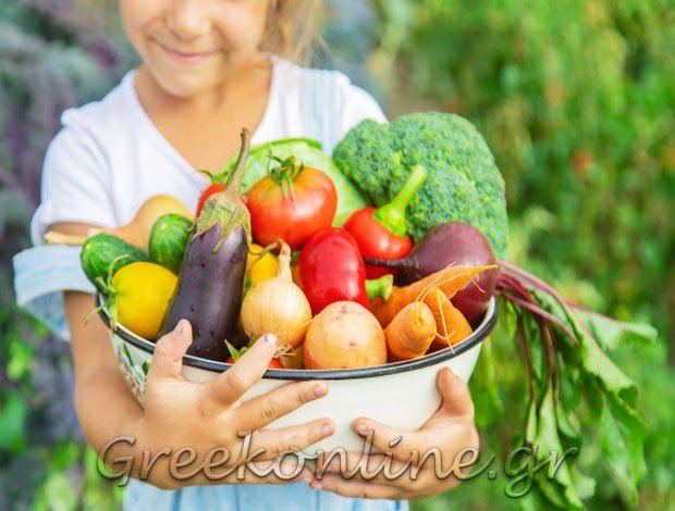 ΟΠΩΡΟΠΩΛΕΙΟ ΠΕΥΚΟΧΩΡΙ ΧΑΛΚΙΔΙΚΗΣ  “ΤΟ ΠΕΡΙΒΟΛΙ” ΚΑΡΑΜΑΝΛΗΣ ΑΘ. ΔΗΜΗΤΡΙΟΣ