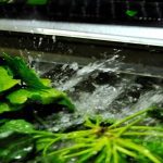 Oporokipeftika-Nea-Magnisia-Stamatiou-AE