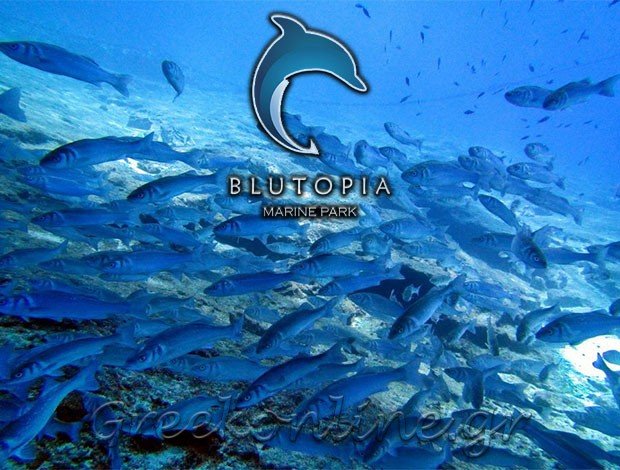 ΘΑΛΑΣΣΙΑ ΣΠΟΡ ΑΣΓΟΥΡΟΥ ΡΟΔΟΣ “BLUTOPIA MARINE PARK” BLUTOPIA ΘΑΛΑΣΣΙΟ ΠΑΡΚΟ ΙΚΕ