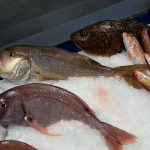 ΨΑΡΟΤΑΒΕΡΝΑ-ΜΙΚΡΟΛΙΜΑΝΟ-ΠΕΙΡΑΙΑΣ-ΒΑΓΓ-ΕΙΡ-ΑΡΓΥΡΟΥ