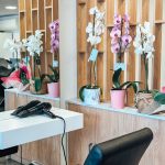 ΚΟΜΜΩΤΗΡΙΟ-ΛΑΓΟΝΗΣΙ-KEY-STYLE-ΚΟΛΛΙΑ