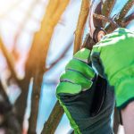 ΚΑΘΑΡΙΣΜΟΙ-ΚΤΗΡΙΩΝ-ΑΛΙΜΟΣ-CLEAN-VALUE