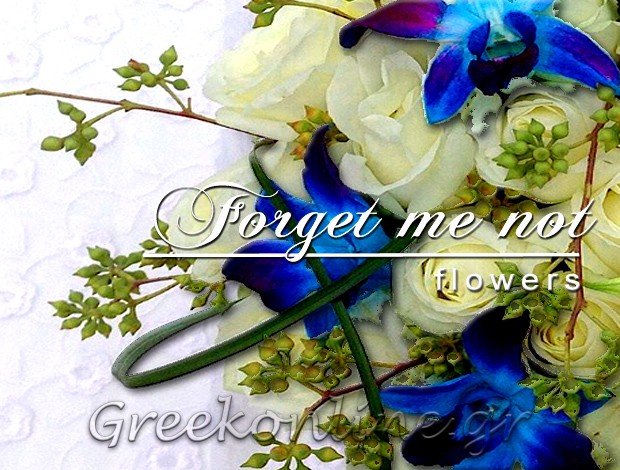 ΑΝΘΟΠΩΛΕΙΟ ΟΙΑ ΣΑΝΤΟΡΙΝΗΣ “FORGET ME NOT” ΑΛΕΞΑΝΔΡΙΔΗΣ Α. – ΡΟΔΟΛΦΟΣ Σ. Ο.Ε.