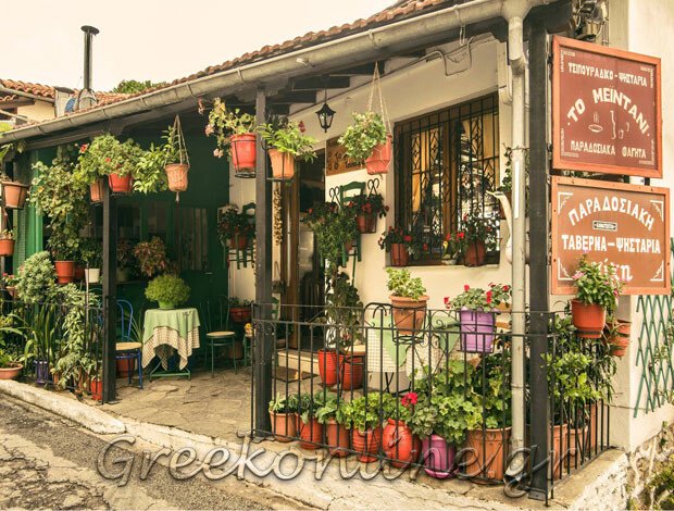 ΠΑΡΑΔΟΣΙΑΚΗ ΤΑΒΕΡΝΑ ΖΑΓΟΡΑ ΠΗΛΙΟ “ΤΟ ΜΕΪΝΤΑΝΙ” ΣΠΑΝΟΥ ΑΝΔΡΟΝΙΚΗ