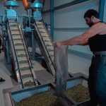 ΕΛΑΙΟΤΡΙΒΕΙΟ-ΠΕΖΑ-ΗΡΑΚΛΕΙΟΥ-ΠΟΛΙΤΑΚΗΣ-ΜΙΧΑΗΛ