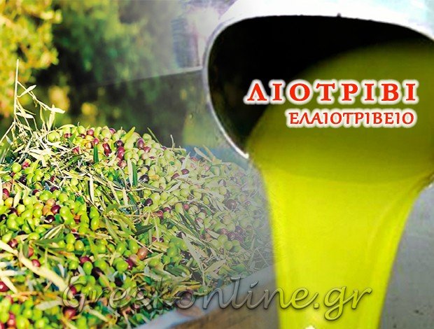 ΕΛΑΙΟΤΡΙΒΕΙΟ ΑΓΙΑ ΠΑΡΑΣΚΕΥΗ ΛΙΒΑΔΕΙΑ “ΛΙΟΤΡΙΒΙ” ΚΑΤΣΑΡΟΣ ΣΠ. – ΚΑΤΣΑΡΟΣ ΗΛ. Ο.Ε.