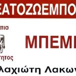 ΚΡΕΟΠΩΛΕΙΟ-ΒΛΑΧΙΩΤΗΣ-ΛΑΚΩΝΙΑΣ-ΜΠΕΜΠΗΣ