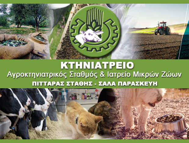 ΚΤΗΝΙΑΤΡΕΙΟ ΝΑΞΟΣ ΠΙΤΤΑΡΑΣ ΣΤΑΘΗΣ – ΣΑΛΑ ΠΑΡΑΣΚΕΥΗ
