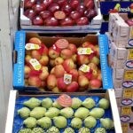 ΧΟΝΔΡΙΚΟ-ΕΜΠΟΡΙΟ-ΦΡΟΥΤΩΝ-ΛΑΧΑΝΙΚΩΝ-ΧΑΛΚΙΔΑ-ΚΟΛΑΡΟΣ-ΜΟΝ-ΙΚΕ