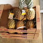 ΕΜΠΟΡΙΟ-ΟΠΩΡΟΚΗΠΕΥΤΙΩΝ-ΡΕΝΤΗΣ-FRUTALUX