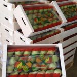 ΕΜΠΟΡΙΟ-ΟΠΩΡΟΚΗΠΕΥΤΙΩΝ-ΡΕΝΤΗΣ-FRUTALUX