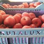 ΕΜΠΟΡΙΟ-ΟΠΩΡΟΚΗΠΕΥΤΙΩΝ-ΡΕΝΤΗΣ-FRUTALUX