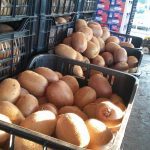 ΕΜΠΟΡΙΟ-ΟΠΩΡΟΚΗΠΕΥΤΙΩΝ-ΡΕΝΤΗΣ-FRUTALUX