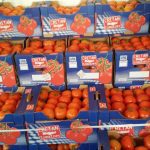 ΕΜΠΟΡΙΟ-ΟΠΩΡΟΚΗΠΕΥΤΙΩΝ-ΡΕΝΤΗΣ-FRUTALUX