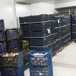 ΕΜΠΟΡΙΟ-ΟΠΩΡΟΚΗΠΕΥΤΙΩΝ-ΡΕΝΤΗΣ-FRUTALUX