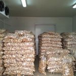 ΕΜΠΟΡΙΟ-ΟΠΩΡΟΚΗΠΕΥΤΙΚΩΝ-ΡΕΝΤΗΣ-ΣΑΡΔΑΝΗΣ