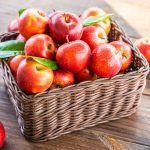 ΟΠΩΡΟΚΗΠΕΥΤΙΚΑ-ΛΑΧΑΝΑΓΟΡΑ-ΡΕΝΤΗ-ΣΑΡΑΝΤΟΥΛΑΚΗΣ-ΝΙΚΟΣ